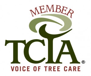 TCIA member