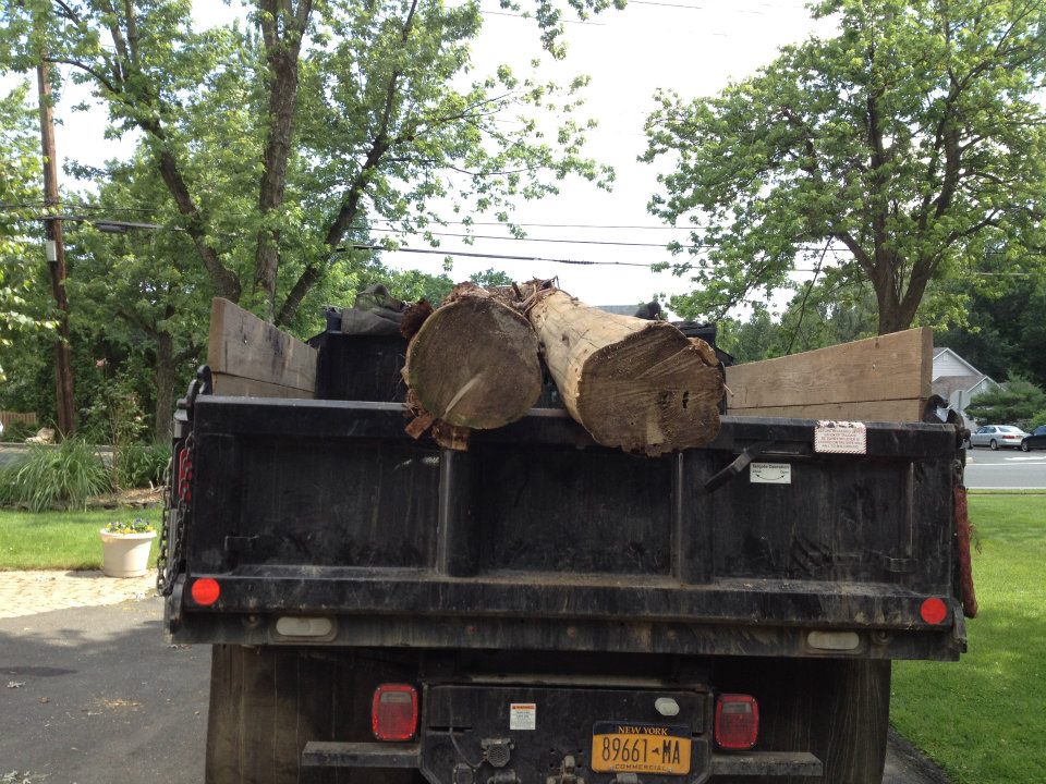 tree removal in northern NJ
